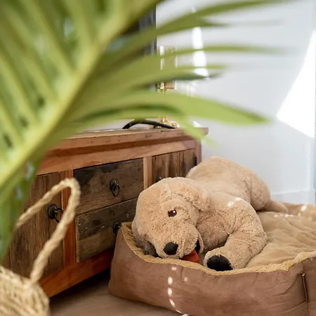 펜션 Ostseecamp Sandburg 샬베우츠