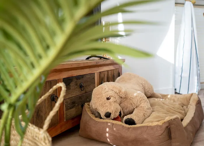 Hébergement de vacances Ostseecamp Sandburg Scharbeutz